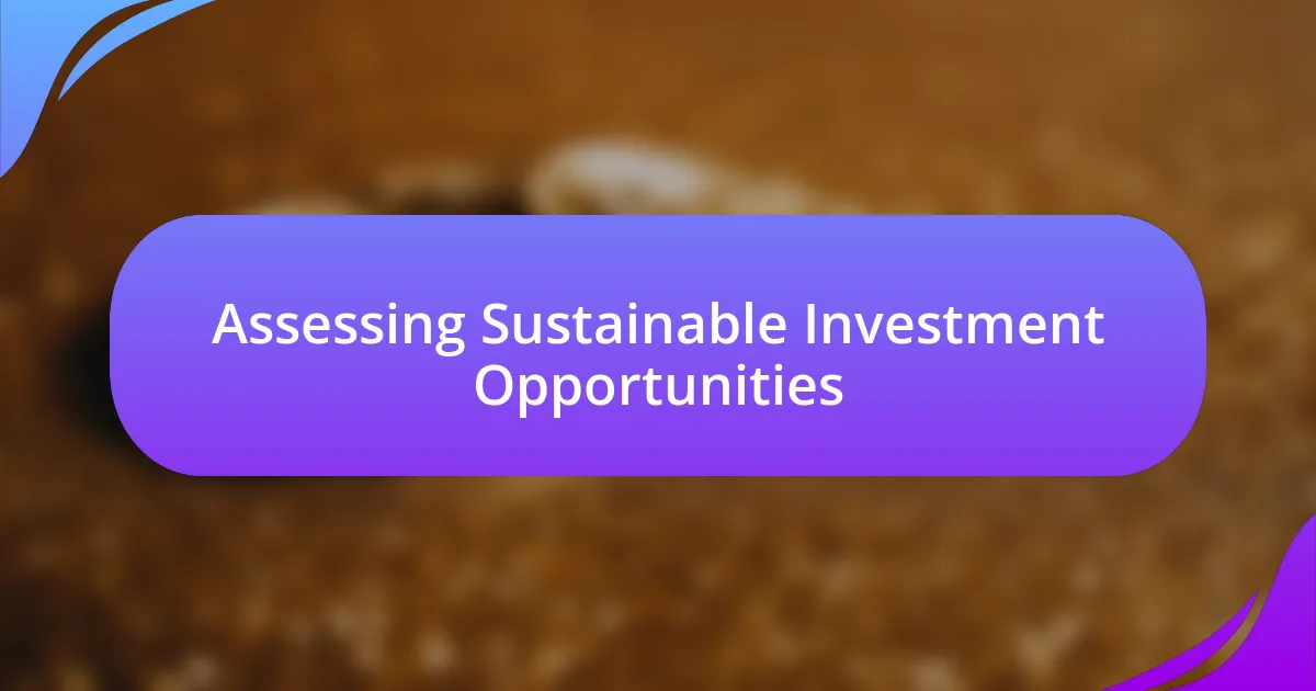 Assessing Sustainable Investment Opportunities