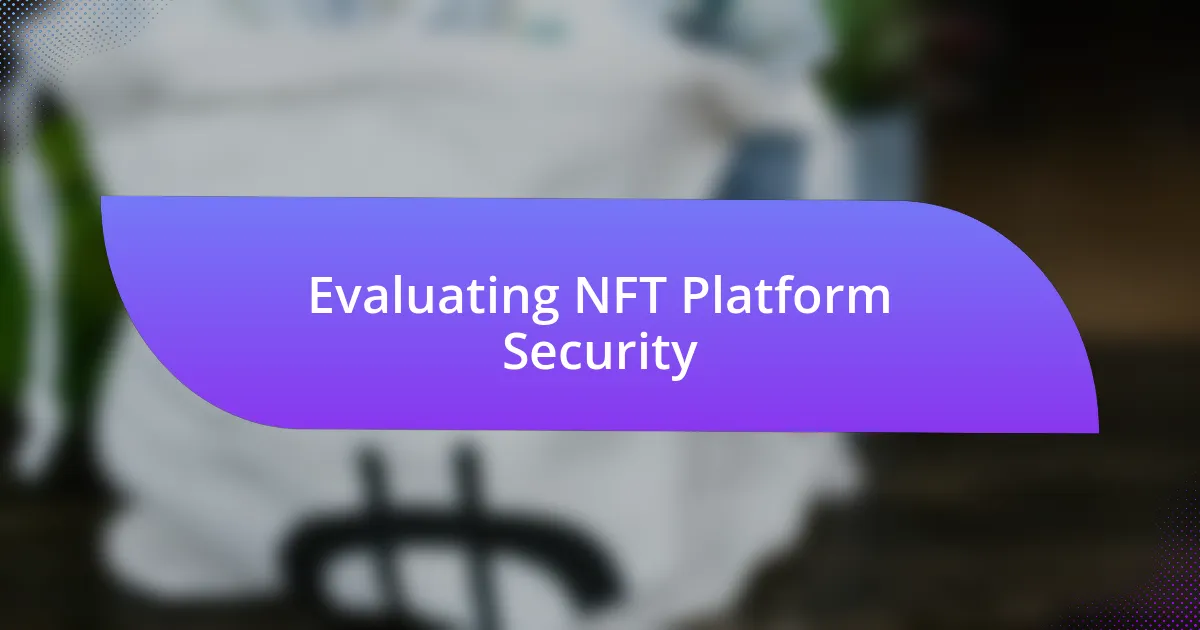 Evaluating NFT Platform Security